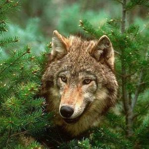 Meet your Posher, Pam